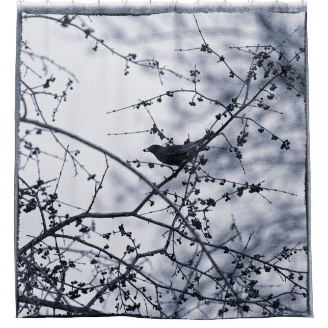 Rideaux De Douche Robin Branches Manger Berry Blue Silhouette (Devant)