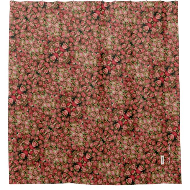 Rideaux De Douche Rose (Devant)