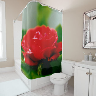 Rideaux De Douche Rose rouge de la passion couverte de gouttes de ro