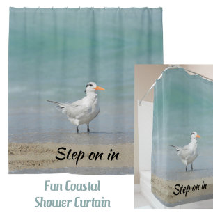 Rideaux De Douche Royal Tern Seabird Beach Photographie