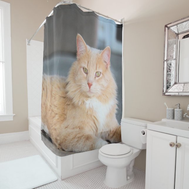 Rideaux De Douche Ruffles (En situation)