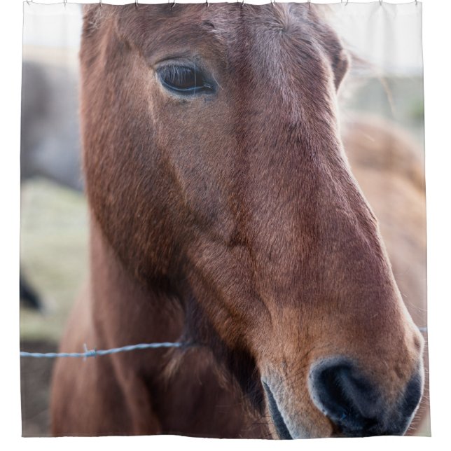 RIDEAUX DE DOUCHE SAD HORSE (Devant)
