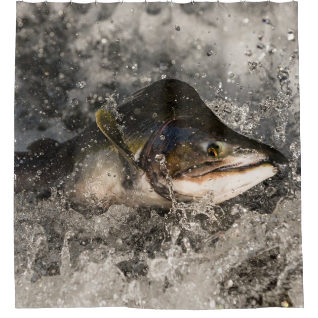 Rideaux De Douche Saumon de saut (Devant)