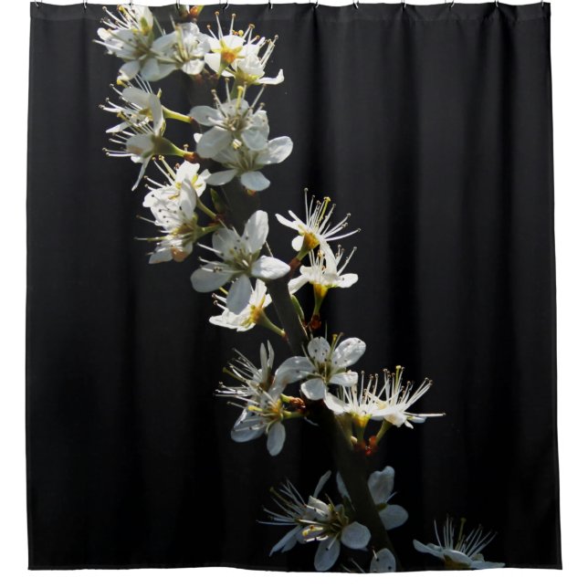 Rideaux De Douche Scna Fleurs d'épines (Devant)