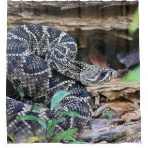 Rideaux De Douche Serpent à Sonnette Dans La Nature