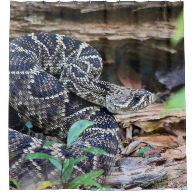 Rideaux De Douche Serpent à Sonnette Dans La Nature (Devant)