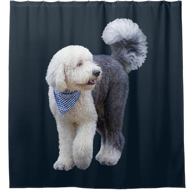 Rideaux De Douche Sheepadoodle avec écharpe à carreaux bleus (Devant)