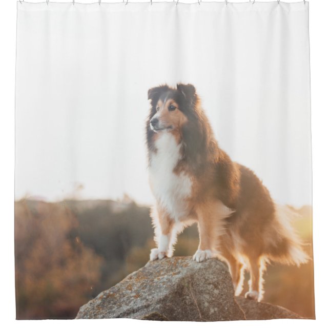 Rideaux De Douche Sheltie sur le protectng de falaise entendu