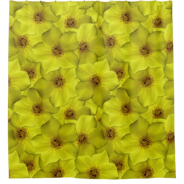 Rideaux De Douche Shrubby Cinquefoil Motif sans couture (Devant)