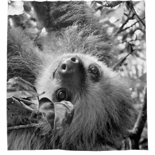 Rideaux De Douche Sloth (Devant)