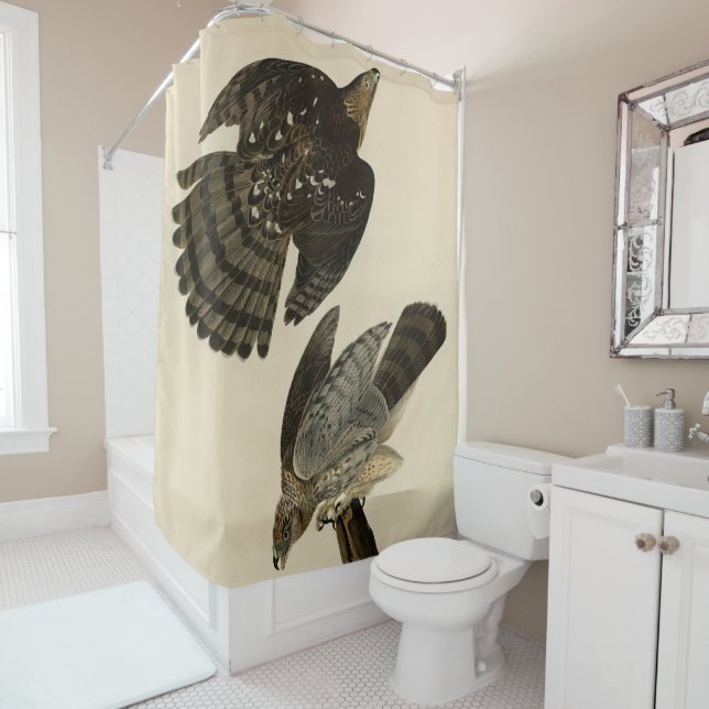 Rideaux De Douche Stanley (Cooper's) Hawk Audubon's Birds of America (En situation)