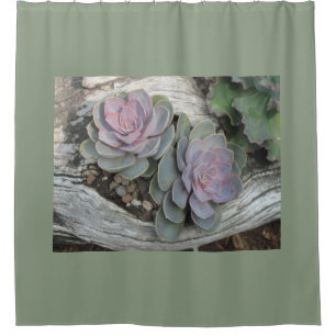 Rideaux De Douche Succulent d'Echeveria