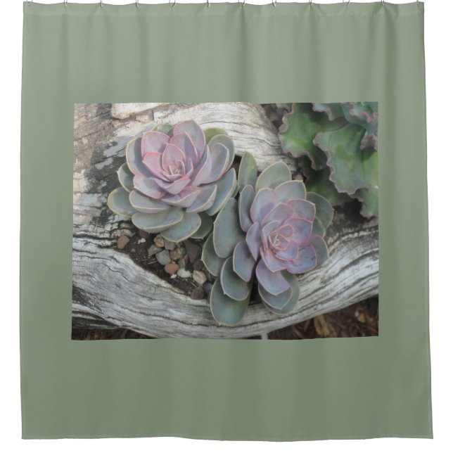 Rideaux De Douche Succulent d'Echeveria (Devant)