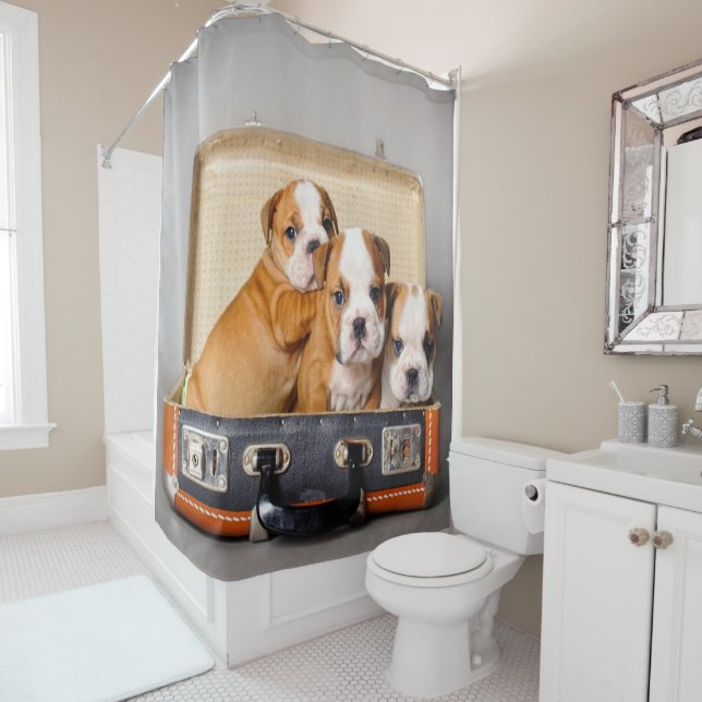 Rideaux De Douche Superbes chiots Bulldog | AMOUREUX DES CHIENS (En situation)