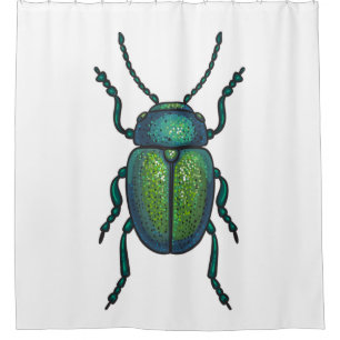 Rideaux De Douche The tansy beetle