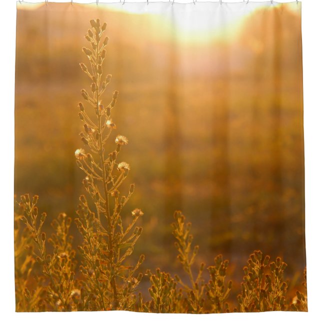 RIDEAUX DE DOUCHE TIGE CHAUDE DE GRAS DE MEADOW (Devant)