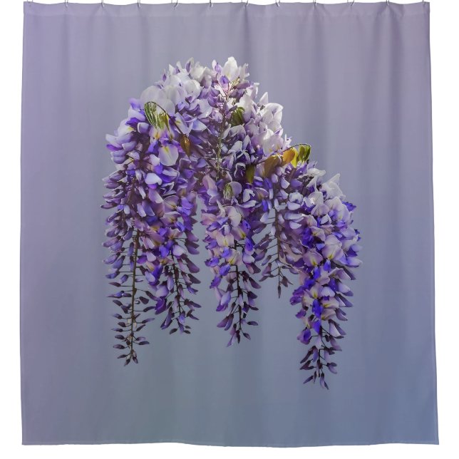 Rideaux De Douche Touffe de Glycine (Devant)