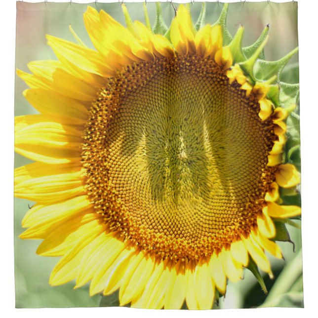 Rideaux De Douche Tournesol jaune (Devant)