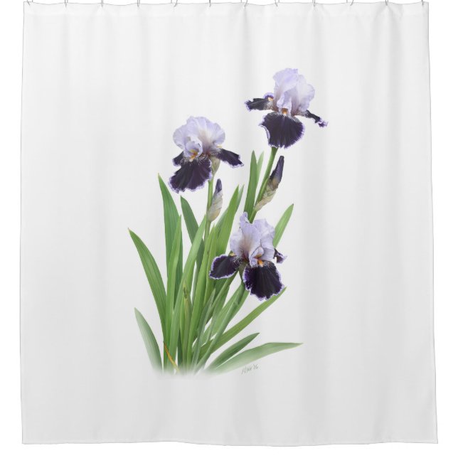 Rideaux De Douche Trio d'Iris (Devant)