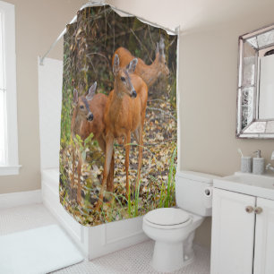 Rideaux De Douche Trio superbe de cerfs de queue noire dans la forêt