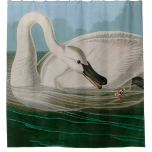 Rideaux De Douche Trumpeter Swan Birds of America Audubon Imprimer