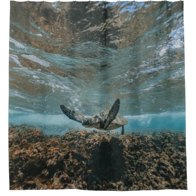 RIDEAUX DE DOUCHE TURTLE EN DÉPLACEMENT (Devant)