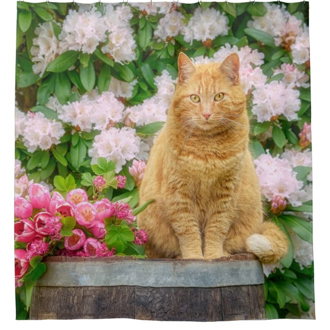 Rideaux De Douche Un chat orange dans un jardin aux fleurs de printe (Devant)