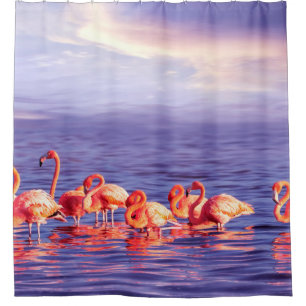 Rideaux De Douche Un troupeau de beaux flamants roses contre un purp