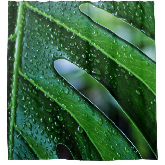 Rideaux De Douche Vert feuille plante Monstera (Devant)