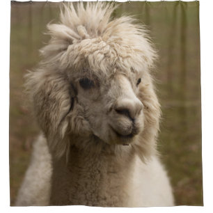 RIDEAUX DE DOUCHE VIENNA WIEN ÖSTERREICH AUTRICHE ALPAKA LAMA ANIMAL