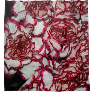Rideaux De Douche Vieux rose, rose, Arrière - plan et texture avec L