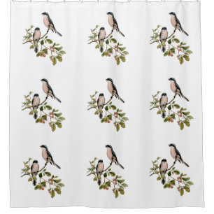 Rideaux De Douche Vintage de beaux oiseaux sur une branche