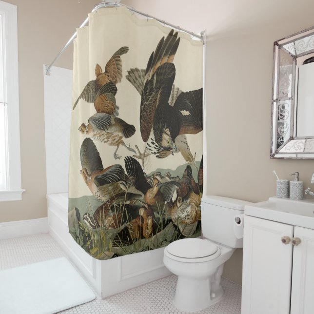 Rideaux De Douche Virginian Partridge, Audubon's Birds of America Sh (En situation)