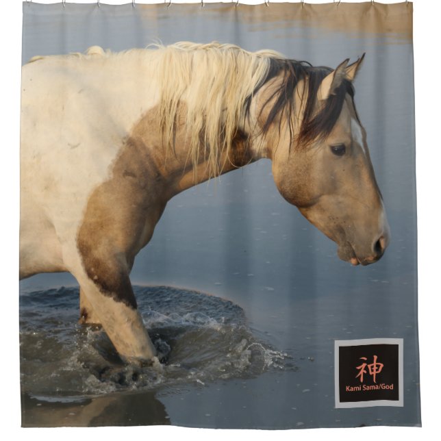 RIDEAUX DE DOUCHE WESTERN PHOTOGRAPHIE DOUCHE CURTAIN WILD PINTO (Devant)