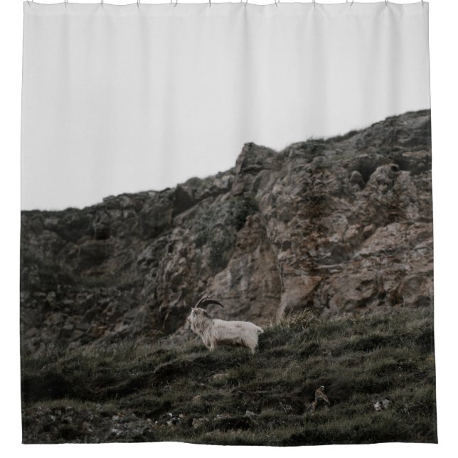 RIDEAUX DE DOUCHE WILD CHAT (Devant)
