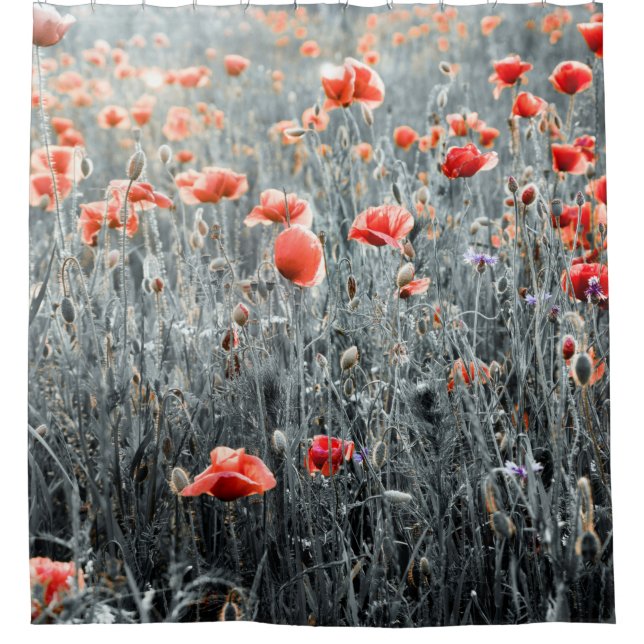 Rideaux De Douche Wildflowers poppies (Devant)