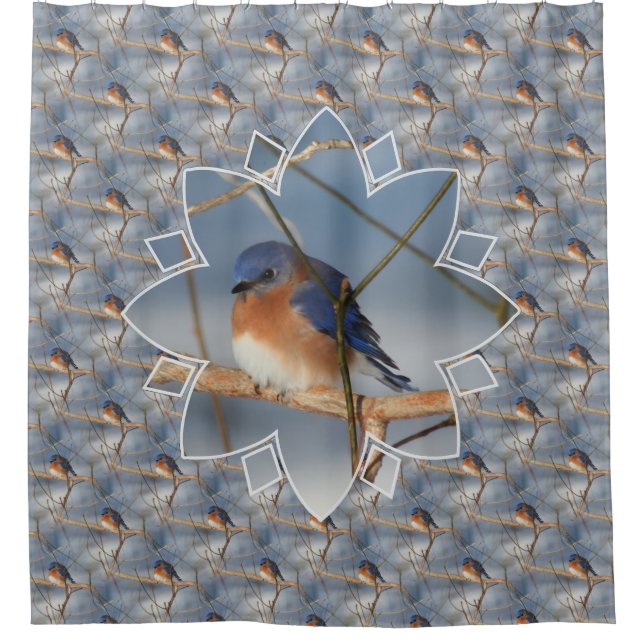 Rideaux De Douche Winter Bluebird Nature Bird Art Pattern  (Devant)