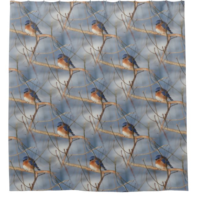 Rideaux De Douche Winter Bluebird Nature Oiseau Motif Art (Devant)