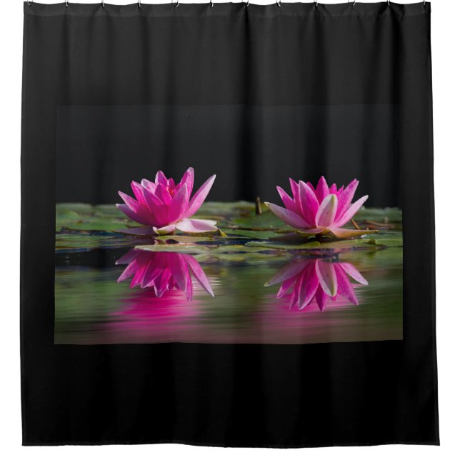 Rideaux  salle du bain (Devant)