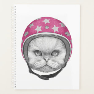 Rider en moto chats perse