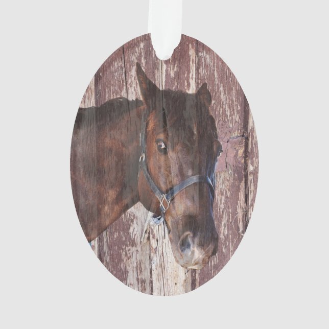 Riding cheval brun me regardant avec ses yeux (dos)