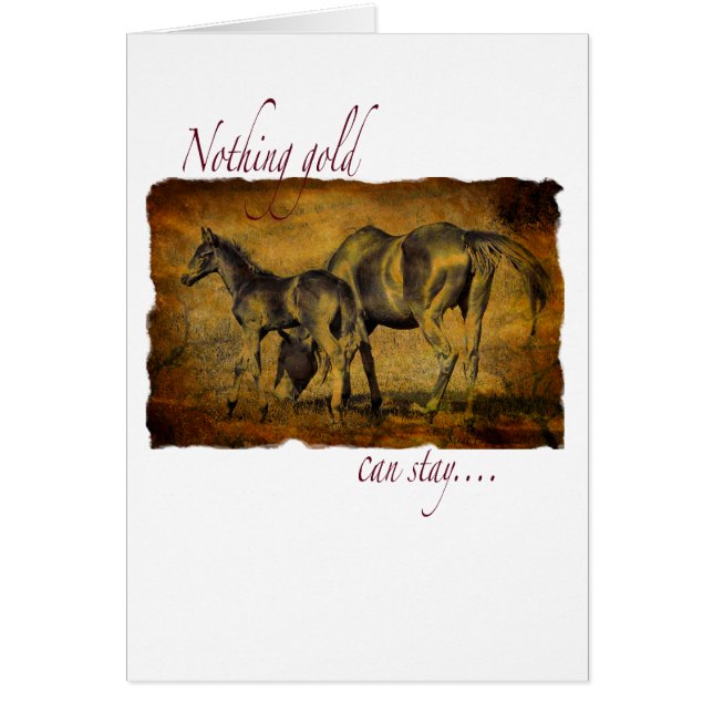 Rien or ne peut rester (Devant)