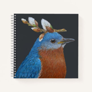 Riley le Carnet de la spirale des oiseaux bleus