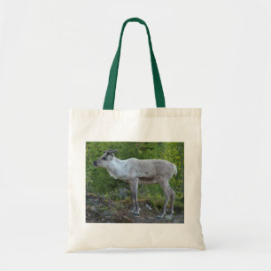 Rinder dans le sac en Laponie - choisir style et c