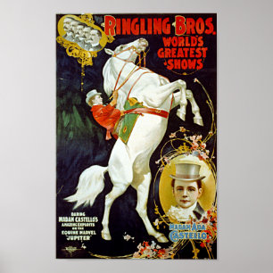 Ringling vintage Bros. Affiche de cheval blanc