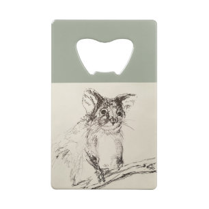 Ringtail Possum Australie