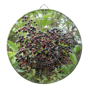 Ripening Cible de flechettes des airelles