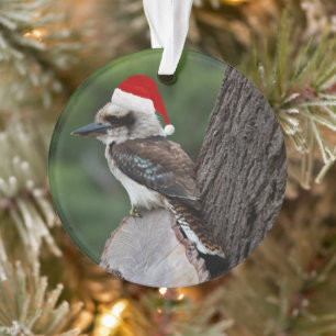 Rire Kookaburra Oiseau Noël Rouge Chapeau de Père 