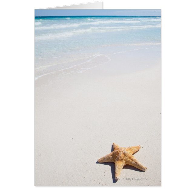 Riviera Maya (Devant)