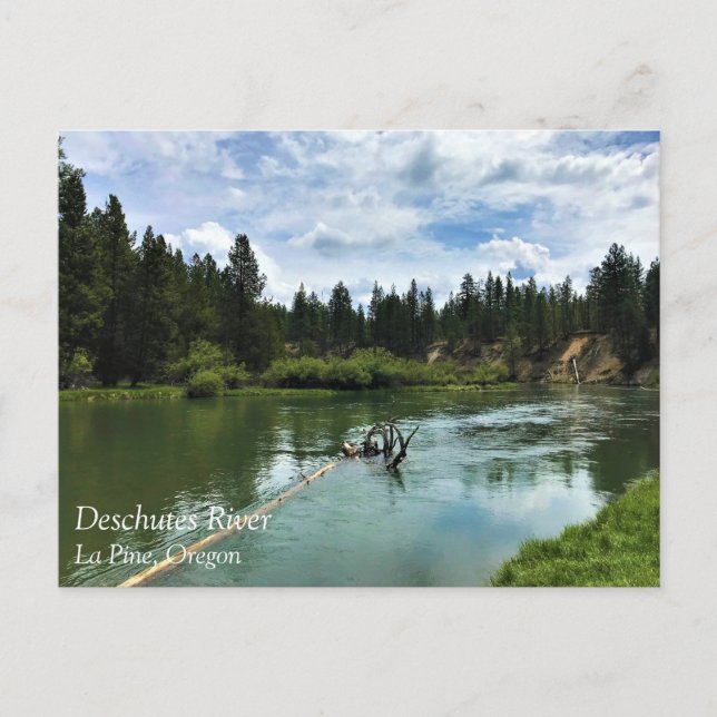 Rivière Deschutes, Oregon Carte postale (Devant)
